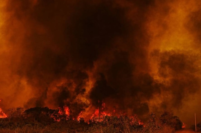 Pantanal já teve mais de 3 mil incêndios em novembro